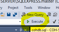 SSMS Execute.png